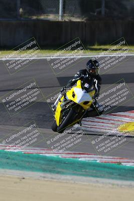 media/Mar-17-2024-Fastrack Riders (Sun) [[c7d6f8c14c]]/Level 2/Turn 6/